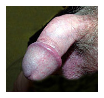 curved penis #1 curved penis #1