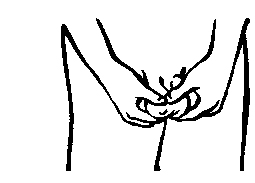 self testicular exam self testicular exam