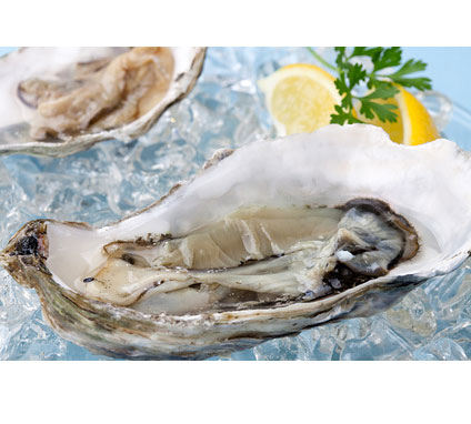 zinc from oysters and shellfish for prostate health