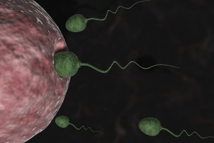 sperm motility and pregnancy