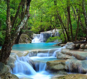 water is a very important food for good prostate health