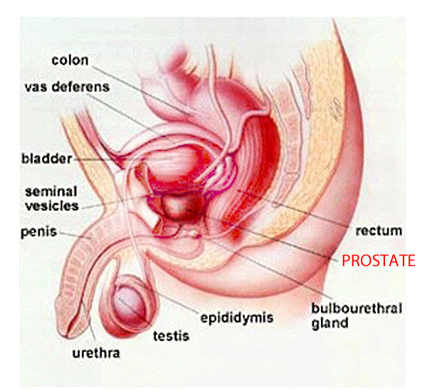 symptoms of prostate problems