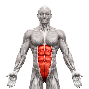abdominal exercise that tones your entire midsection