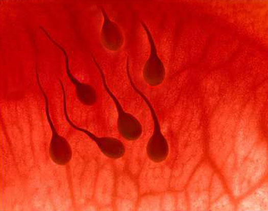 blood in semen