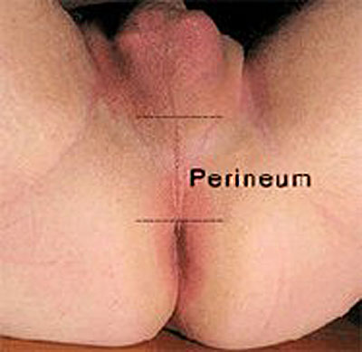 perineum massage