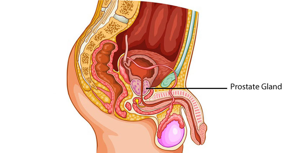 prostate massage technique